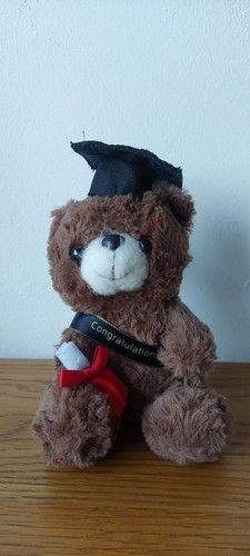 Small graduation teddy bear - graduation,