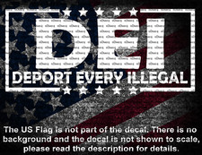 DEI Deport Every Illegal Car