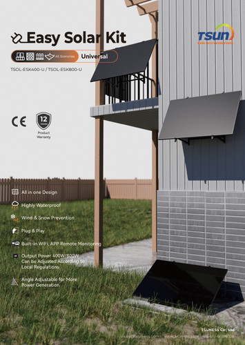 Plug 1x400w ground wall - or,