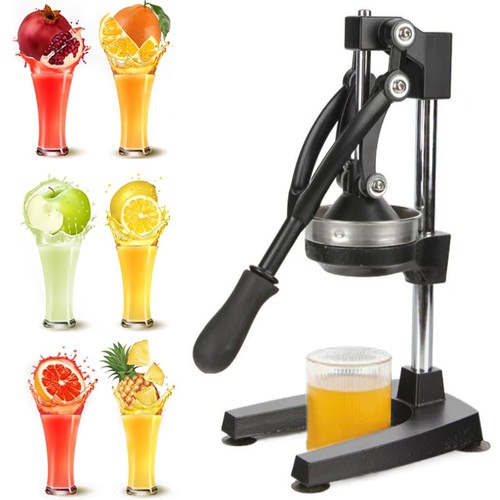 Commercial juicer manual - commercial, fruit