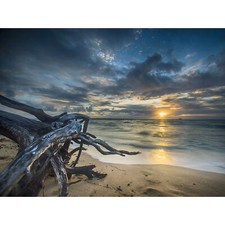 Driftwood Beach Sunset Ocean