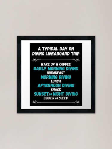 Typical day diving - typical, on