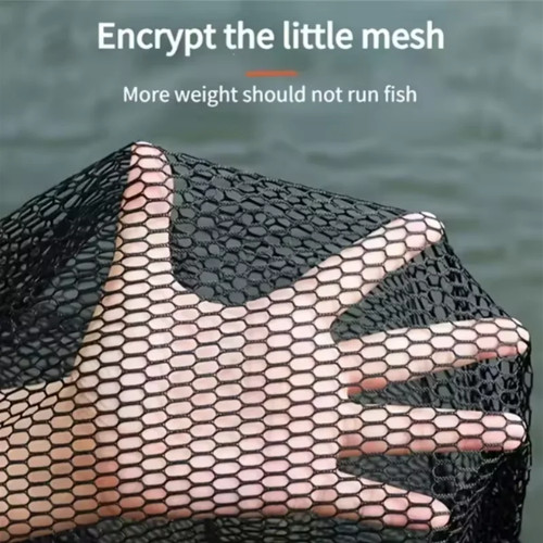 Collapsible keep net live - net,