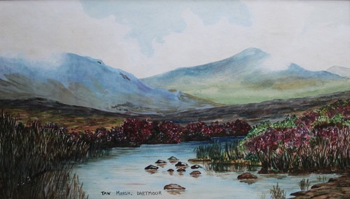 Taw marsh dartmoor framed - marsh,