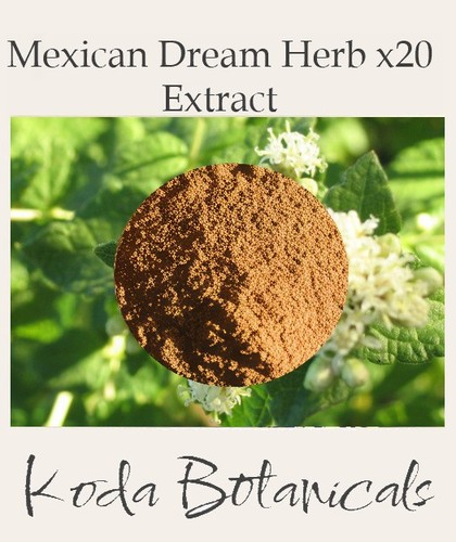 Mexican dream herb 1 - mexican, 20:1