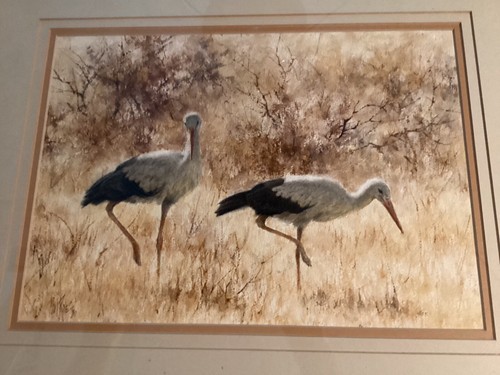 Original paul rose south - original,