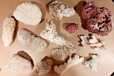 14 piece collection of Vintage Dried Natural Coral including Brain and Pink