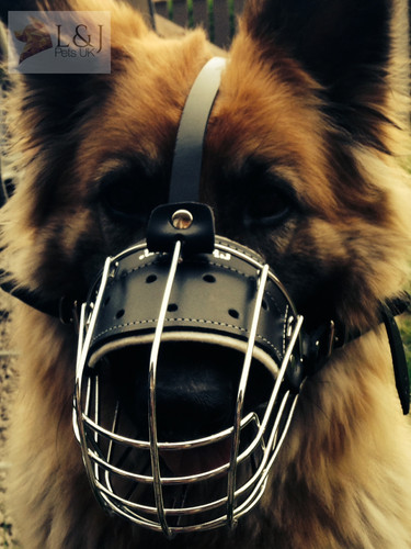Dog muzzle german shepherd - german,