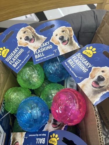Kingdom squeaky flashing - squeaky, ball