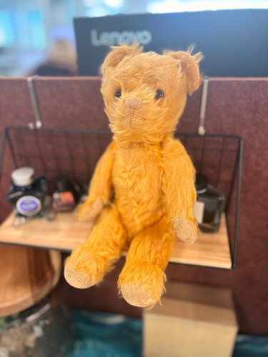Antique teddy bear - antique,