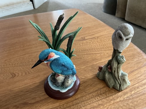 Border fine arts - kingfisher, &