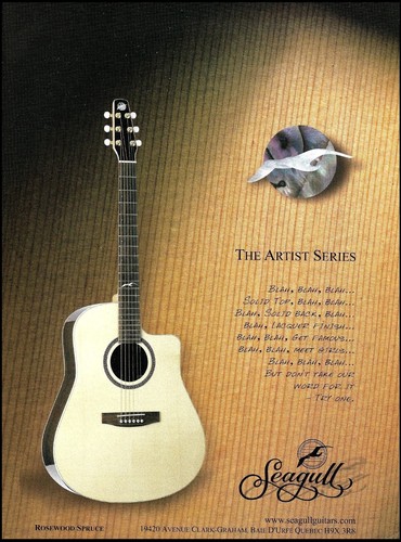 2002 seagull artist series - artist,