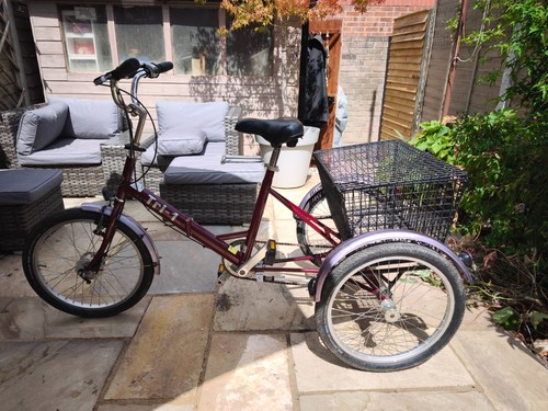 Adult folding pashley - adult,