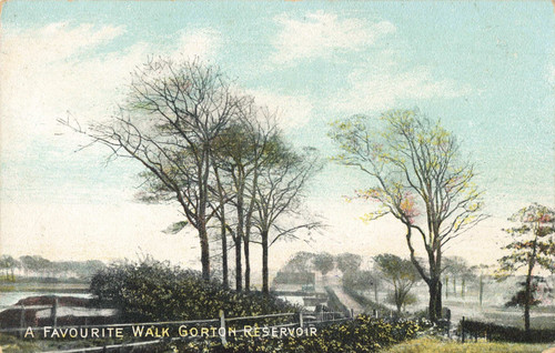 Favourite walk gorton - favourite,