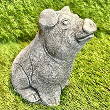 Concrete Sitting Pig Outdoor