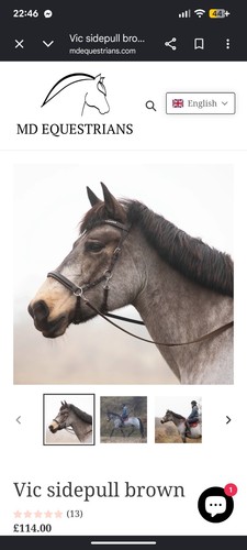 Equestrians vic sidepull - equestrians,