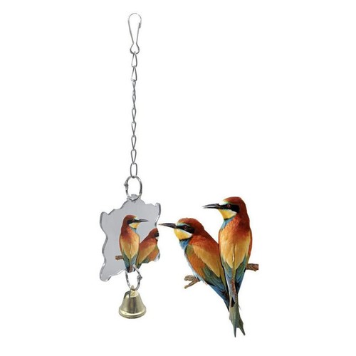 Parrot mirror toys - mirror, hanging