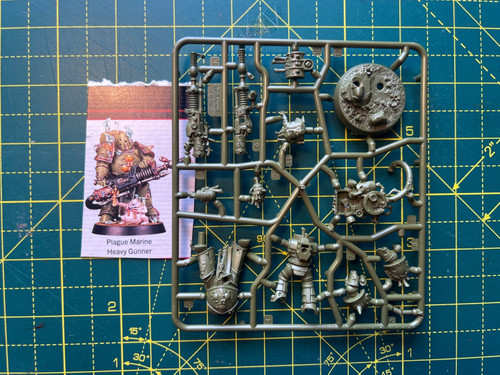 Plague marine with - marine,
