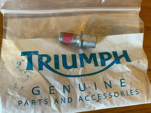 Triumph swing arm caliper