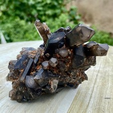 455G Natural smoky black