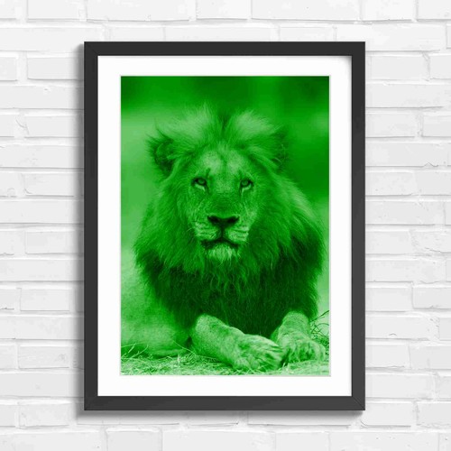Majestic male lion portrait - majestic,