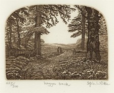 Stephen Whittle - Pencil