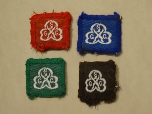 Girl guides brownie year star - brownie,