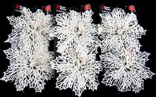 Large poinsettia christmas - poinsettia,