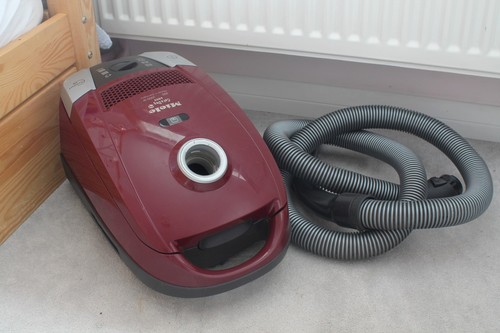 Miele cat dog - miele,