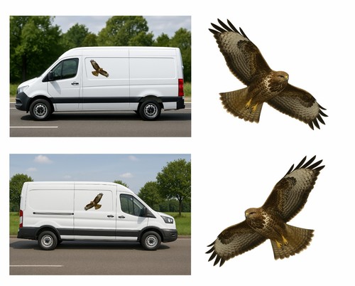 Buzzard flight pair decals - in,
