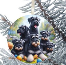 Giant Schnauzer Dog Hanging