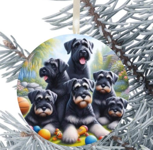 Giant schnauzer dog hanging - schnauzer,
