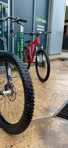 Mongoose fireball - mongoose,