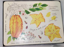 PORTMEIRION  EXOTIC FRUIT - SET OF SIX dinner placemats
