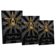 Sea Cadets Apex Star Award