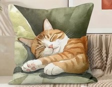 Sleeping Ginger and White Cat