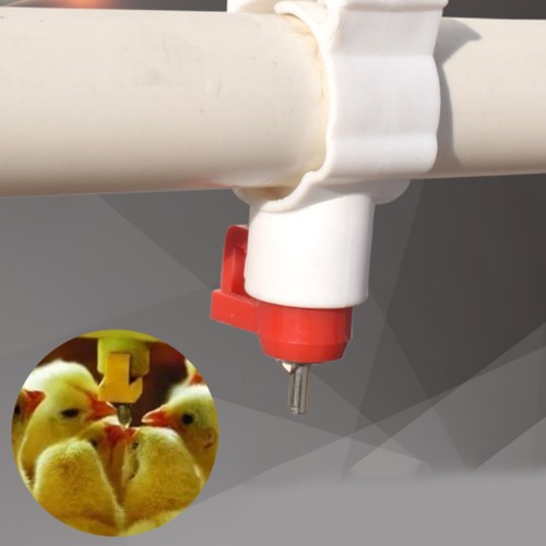 20pcs chicken drinking nipple - drinking,