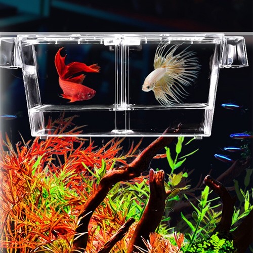 1pc acrylic fish - fish, tank