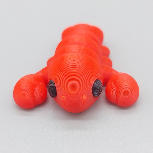 Printed animals red lobster - animals,