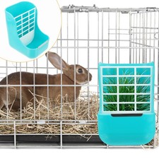 1PC 2-in-1 Rabbit Grass
