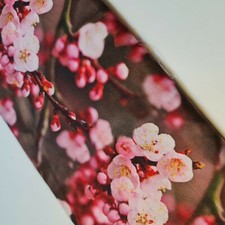 Floral Rose Lawn Polycotton