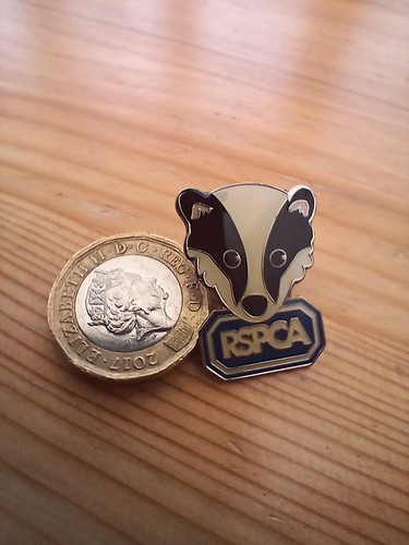 Vintage rspca badger badge - vintage,