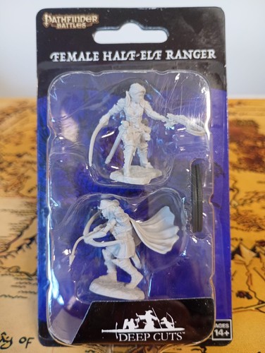 Pathfinders female half elf - female, half-elf
