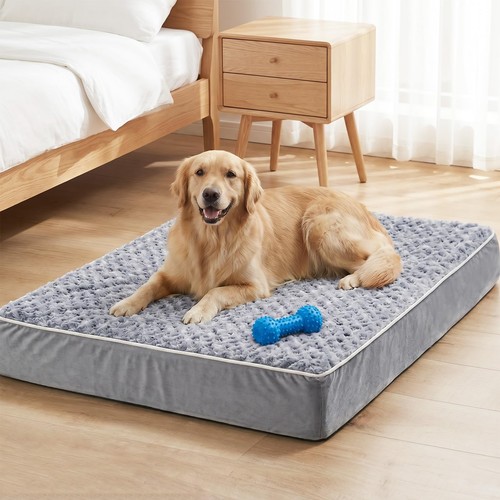 Orthopedic dog bed - orthopedic,