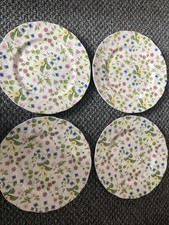 Queens  country meadow 4 dinner plates