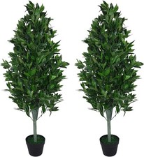 Pair of 120cm Bay Topiary Cone