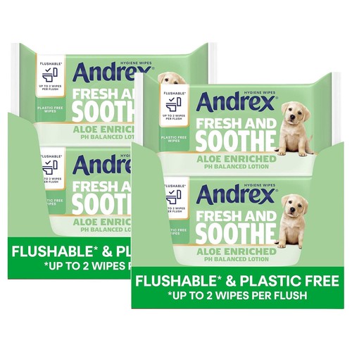 Packs andrex washlets - 24, skin