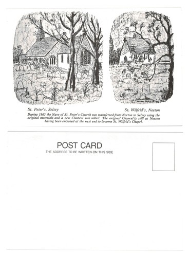 Postcard peter s selsey - postcard, st.
