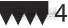 TRISCAN V-Ribbed Belt Black