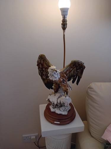 Giuseppe armani bald eagle - armani, "bald